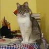 Отзыв от Юлия Олейникова